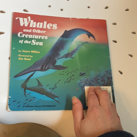 “Whales and Other Creatures of the Sea” kids book - Picture 5 of 16